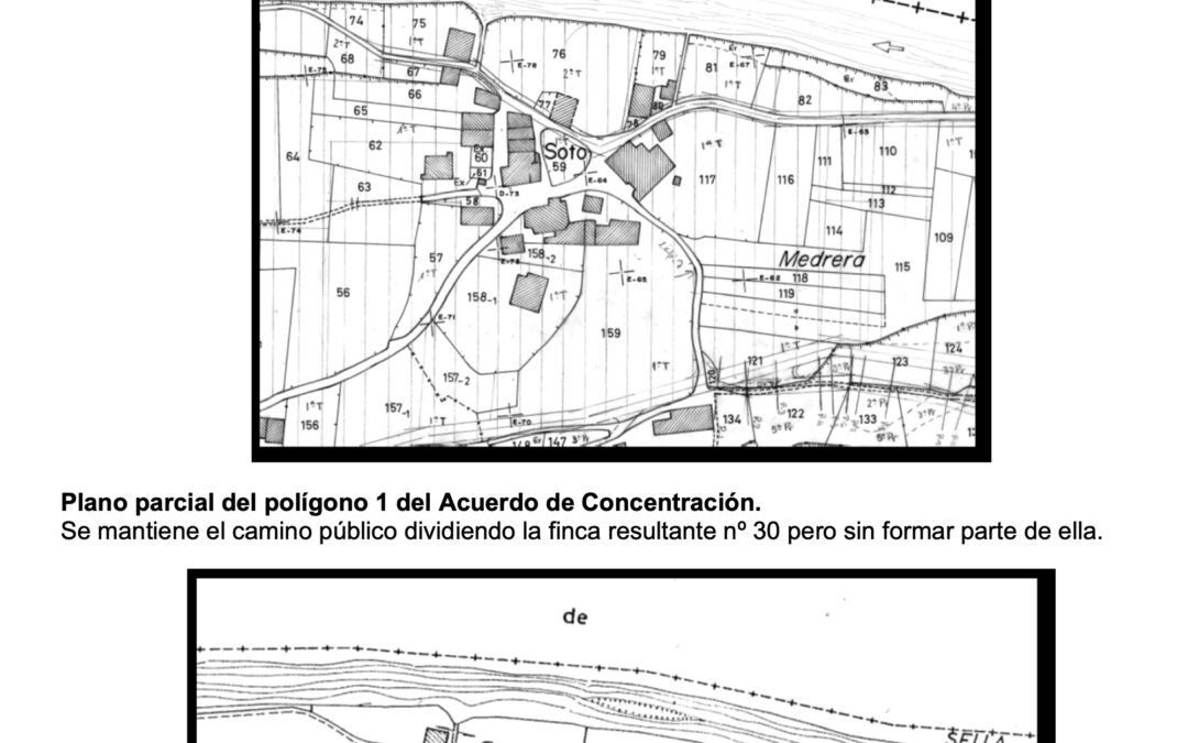 Informe de la Consejería de Medio Rural